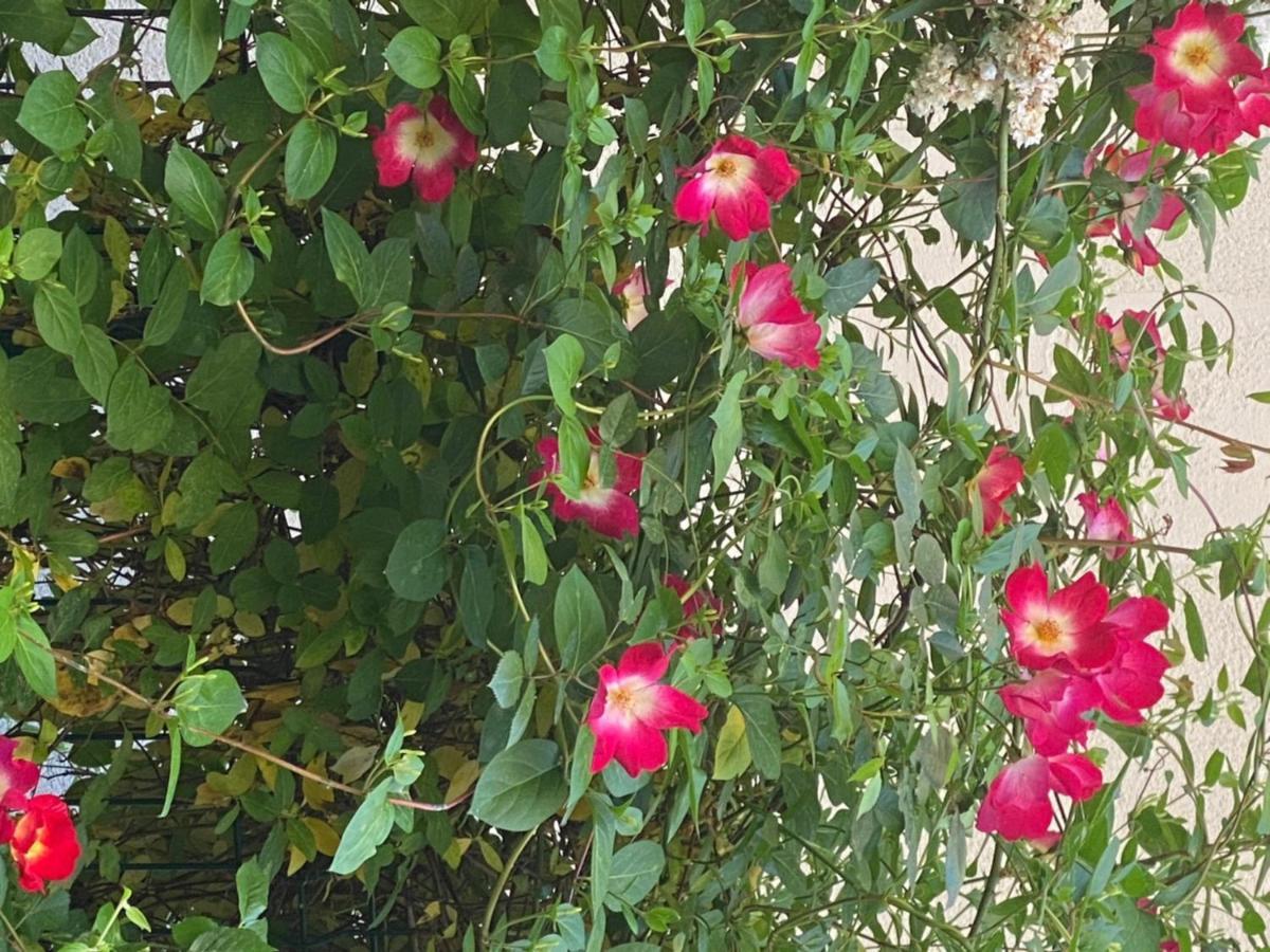 Le Parc Apartman Bergerac Kültér fotó